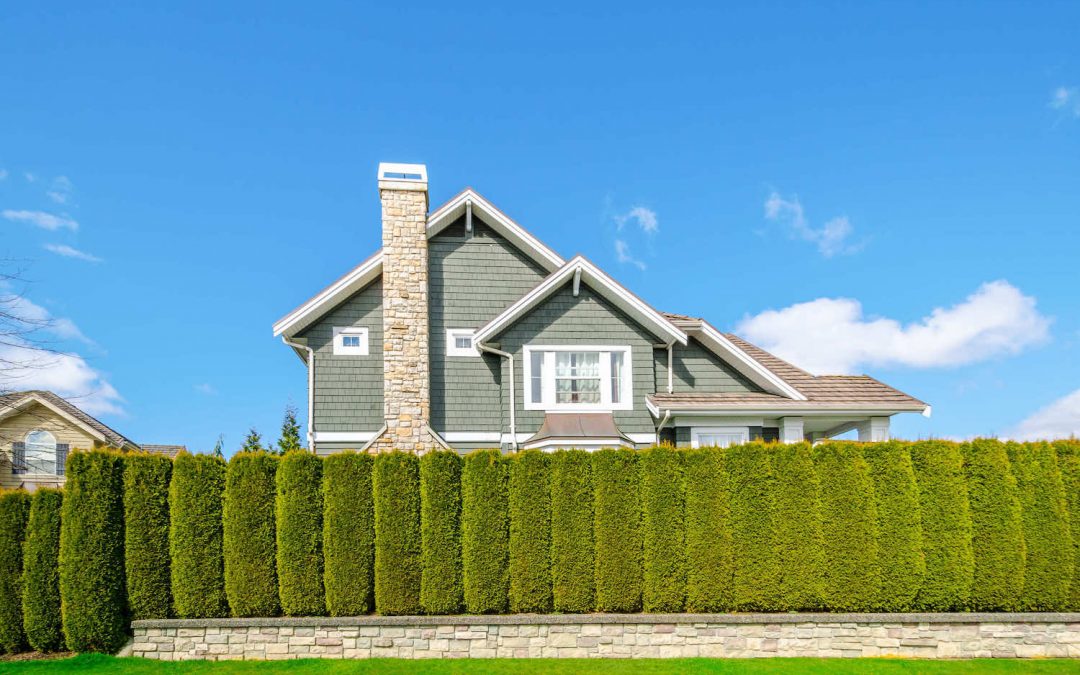 Orleans Hedge Trimming