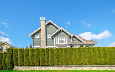 Orleans Hedge Trimming